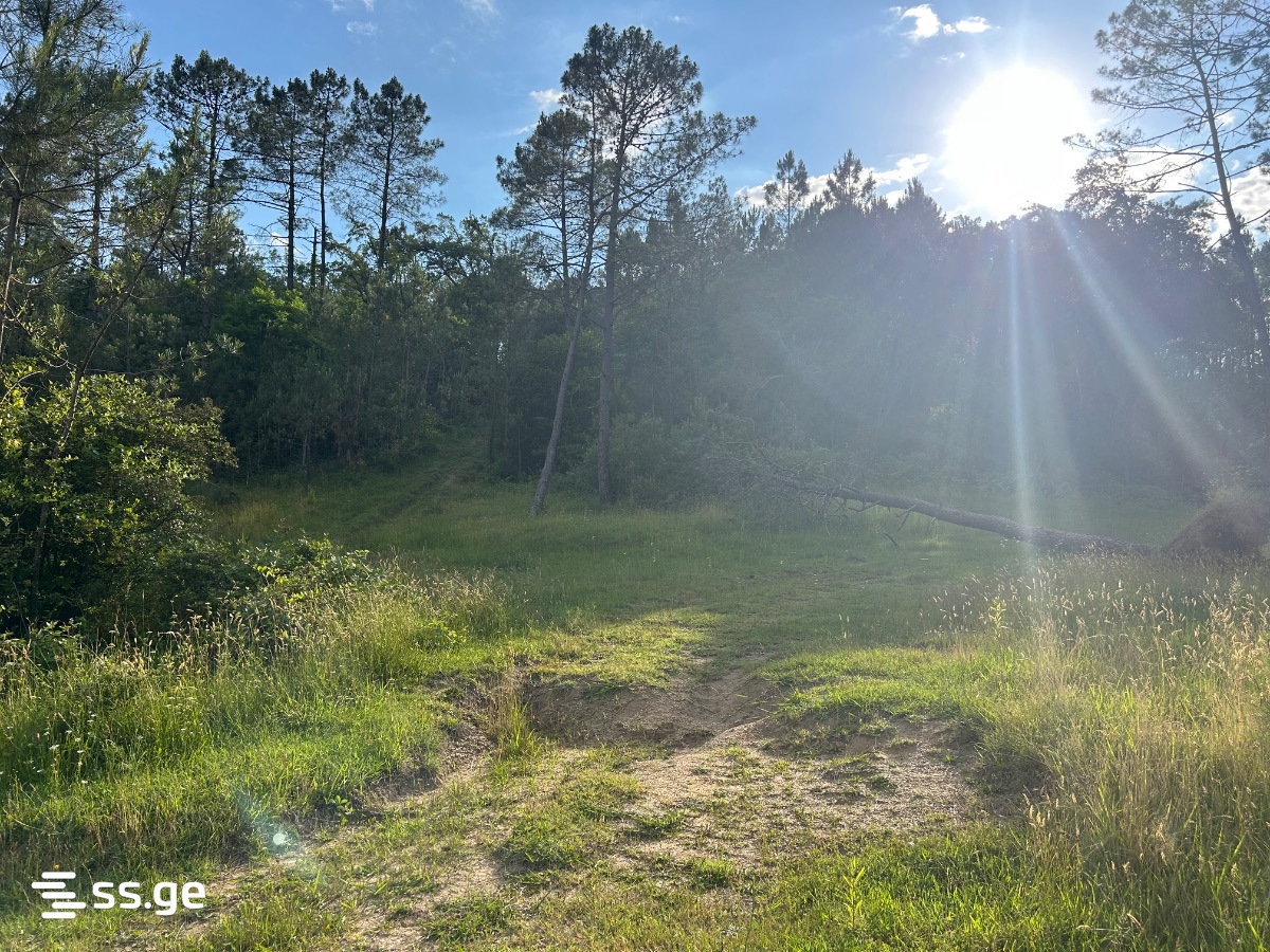 Land For Sale. Kutaisi, 1 of 4