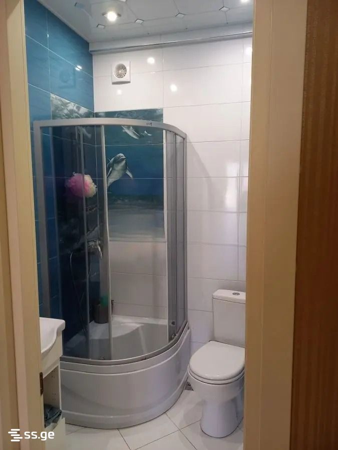 8 Room Private House For Rent. Mtatsminda view 3