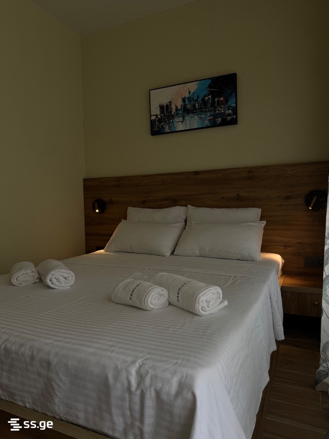 2 Room Flat For Rent. Tsikhisdziri view 7
