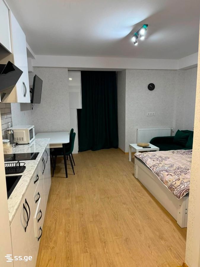 1 Room Flat For Sale view 3