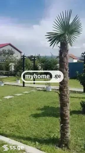 6 Room Summer Cottage Daily Rent. Mtskheta view 9