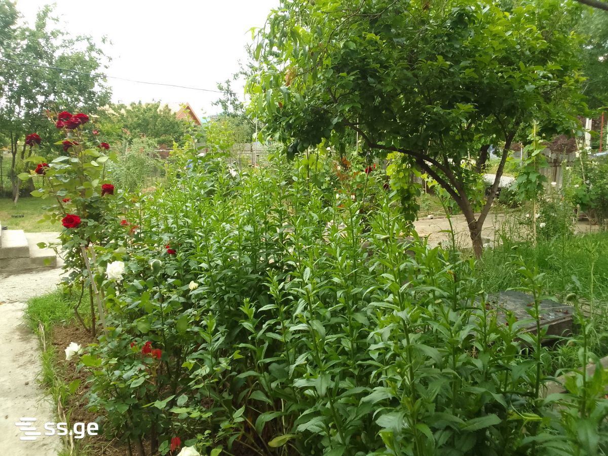 Private House For Sale. Saguramo, 1 of 4