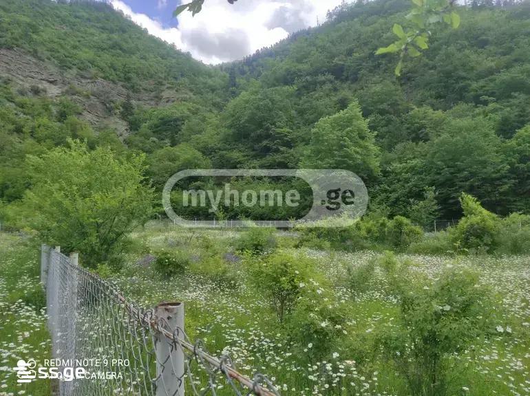 Land For Sale. Gori view 2