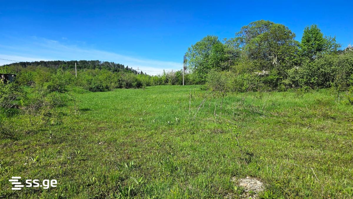 Продажа Agricultural Plot в In Orbeti, In Tetritskaro Municipality view 18