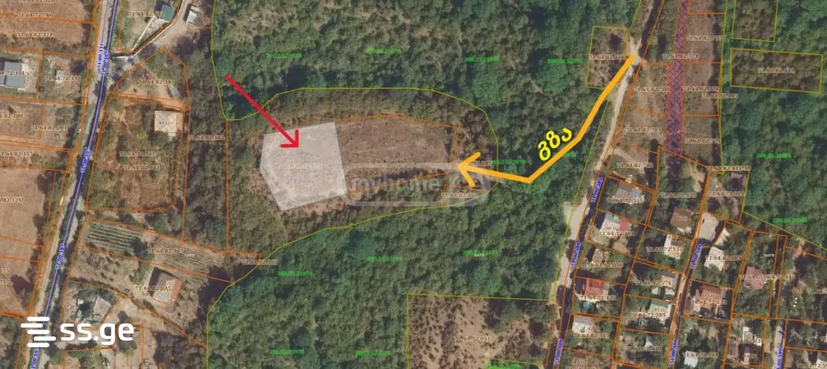 Land For Sale. Dusheti view 1