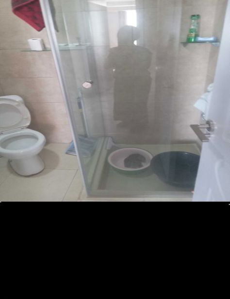 https://static.ss.ge/20260715/0_8ec62dbf-c058-49b0-8165-77390631f752_Thumb.jpg
