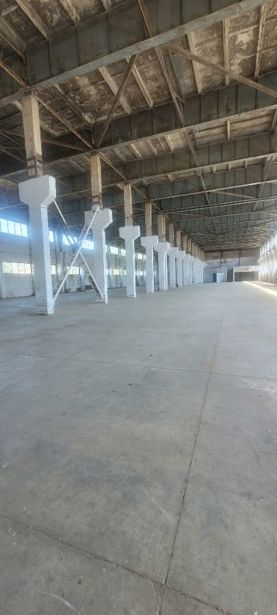 https://static.ss.ge/20260715/0_97be8cf7-075c-4ebc-968c-73329e5f3f25_Thumb.jpg