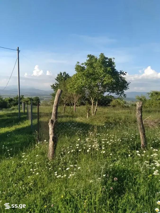 Land For Sale. Bazaleti view 2