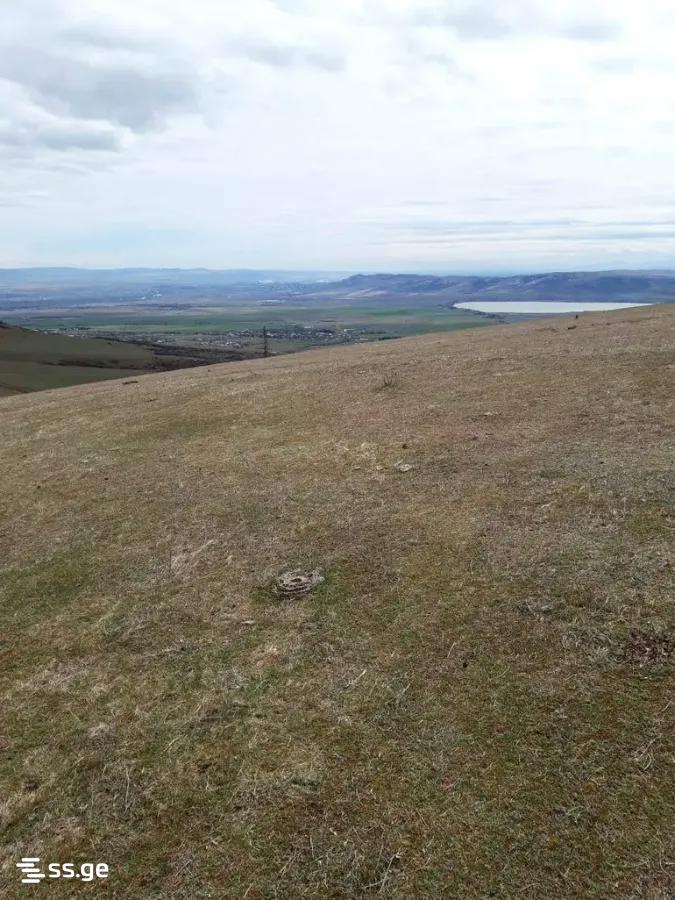 Land For Sale. Mtatsminda view 2