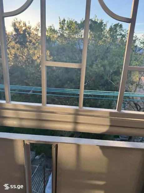 https://static.ss.ge/20260715/10_63c42df7-dfe7-47d9-8f33-314c54709ede_Thumb.jpg