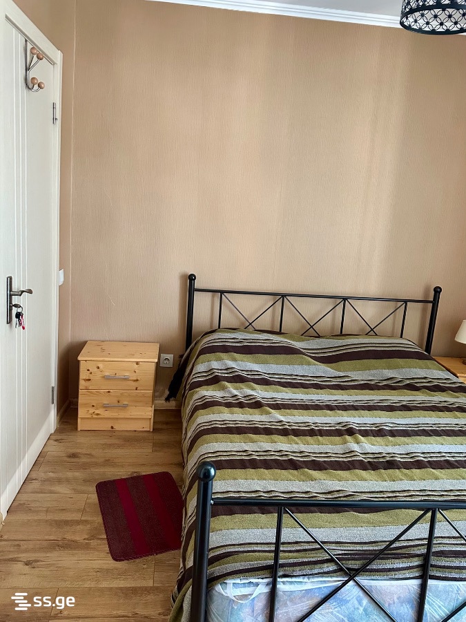 4 Room Flat Daily Rent. Bakurianis Andeziti view 4