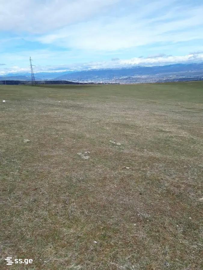 Land For Sale. Mtatsminda view 3