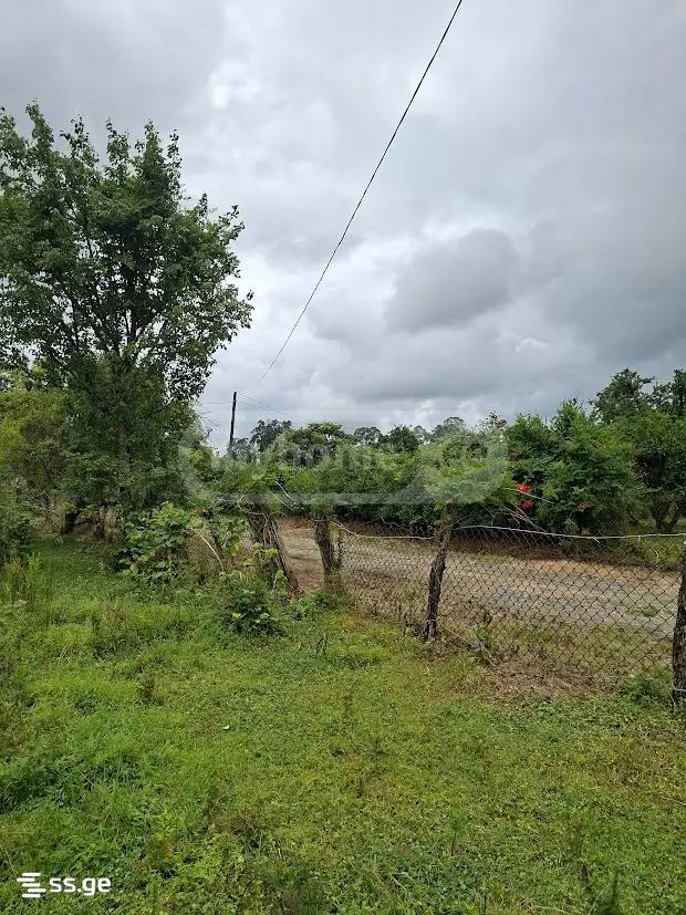 Land For Sale. Shekvetili view 9