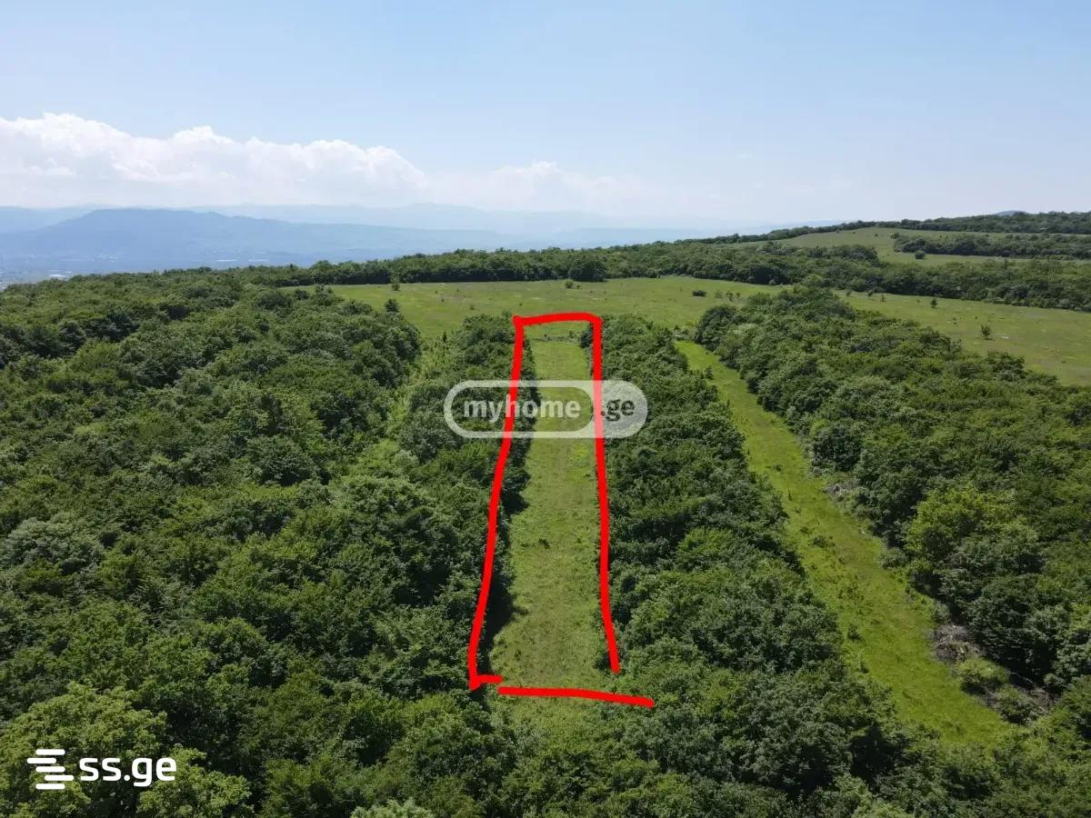 Land For Sale. Saguramo view 1