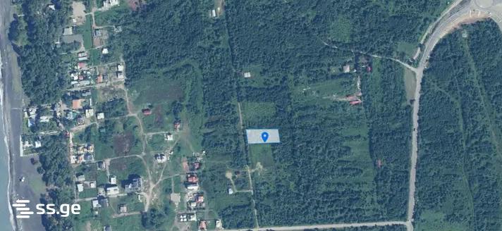 Land For Sale. Ozurgeti view 1