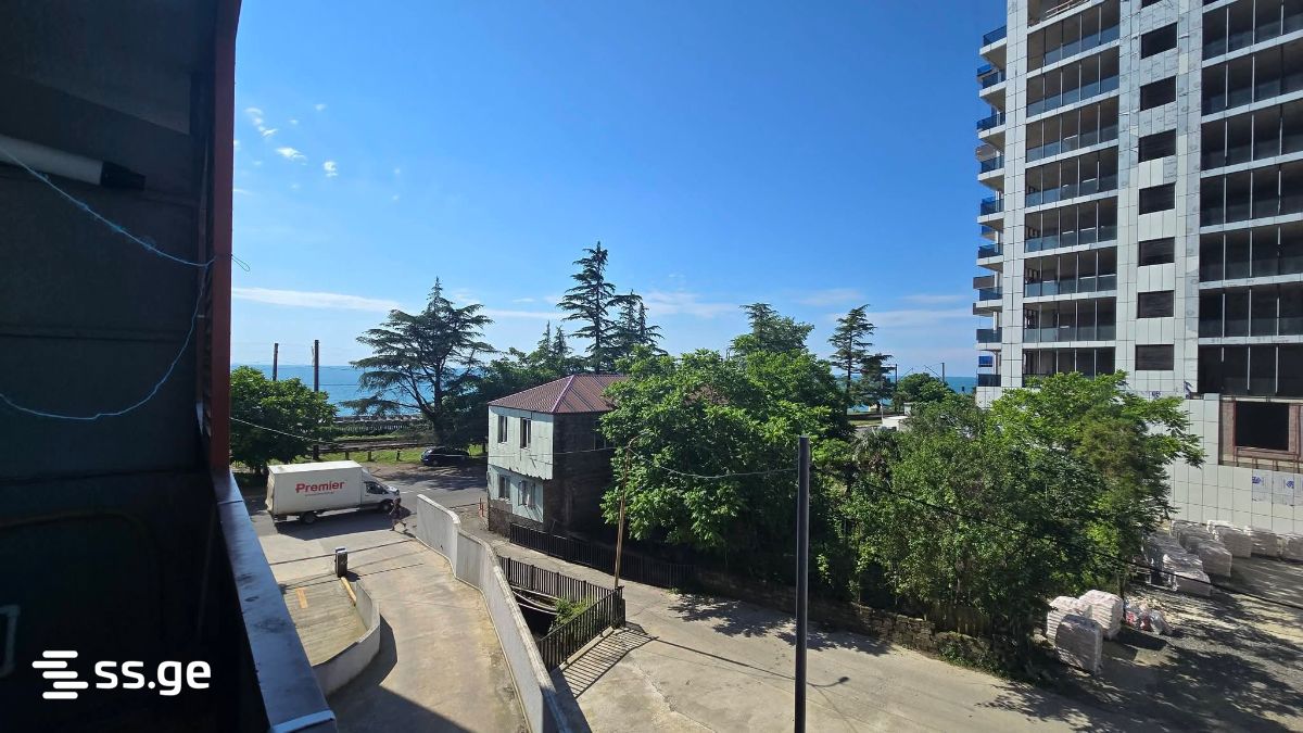 3 Room Flat Daily Rent. Makhindjauri view 5