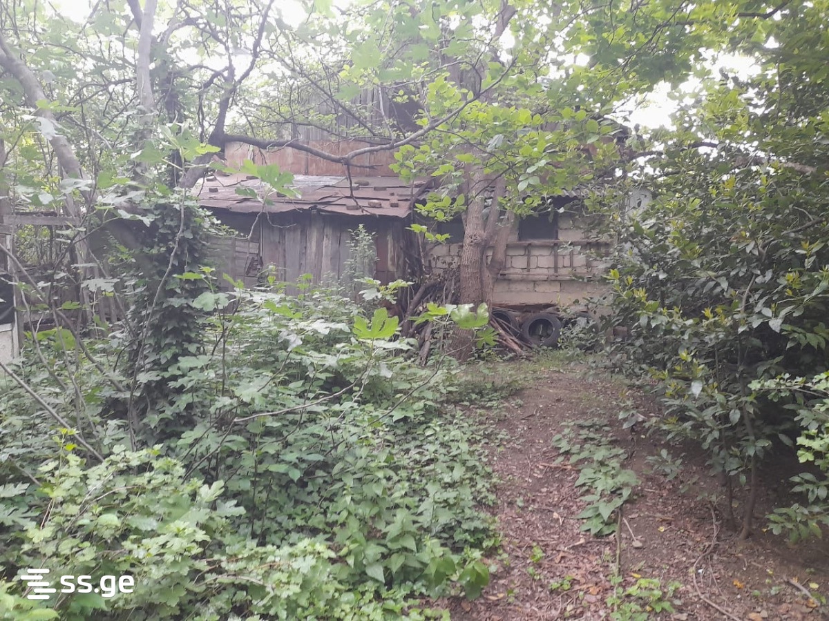 Land For Sale. Elia view 5