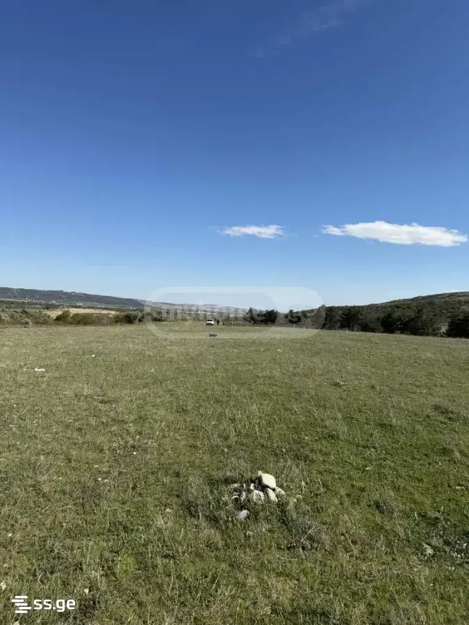 იყიდება მიწა / ნაკვეთი Gardabnis Munitsipalitetshiში view 12