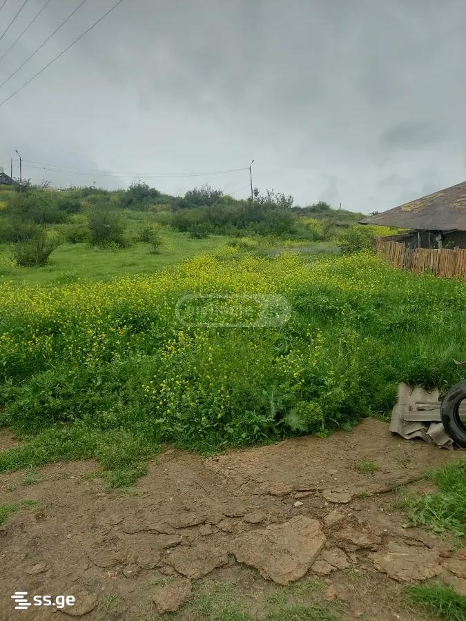 Land For Sale. Nadzaladevi view 3