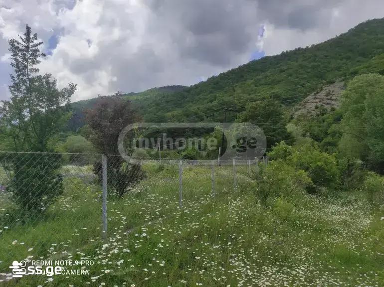 Land For Sale. Gori view 4