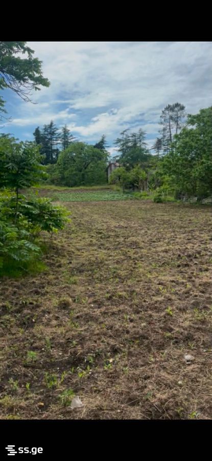 Land For Sale. Shekvetili view 5