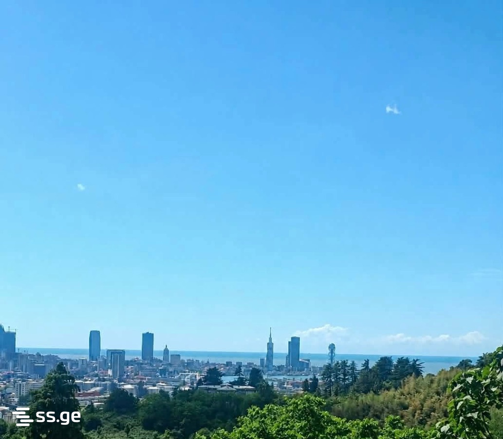 Land For Sale. Batumi, 1 of 3