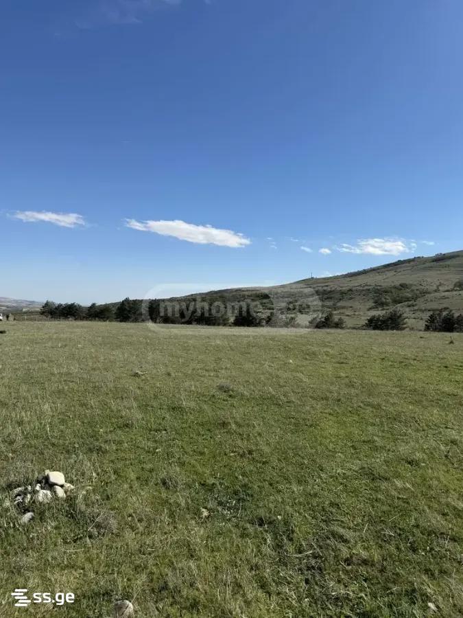 იყიდება მიწა / ნაკვეთი Gardabnis Munitsipalitetshiში view 14