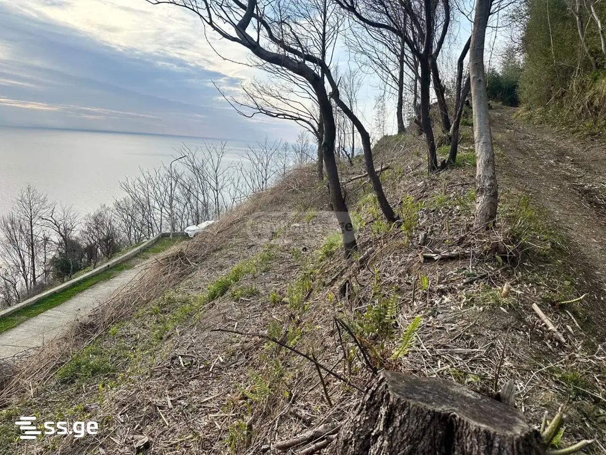Land For Sale. Gonio view 8