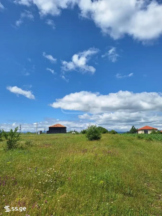 Продажа Земля в базалети view 7