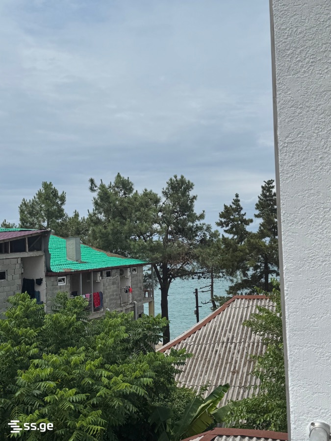 2 Room Flat For Rent. Kobuleti, 8 of 8