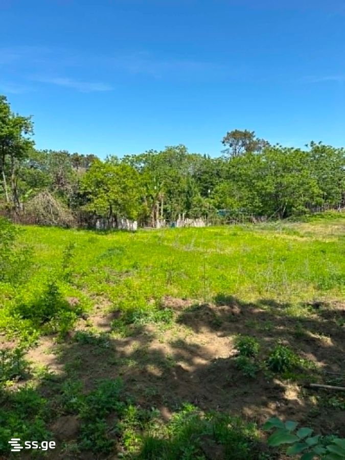 Land For Sale. Shekvetili view 1