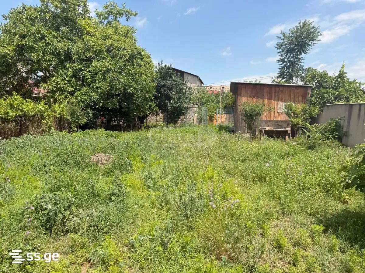 Land For Sale. Isani view 5
