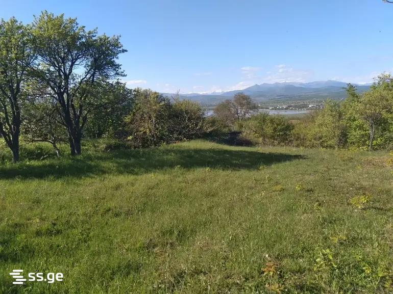 Land For Sale. Bazaleti view 3