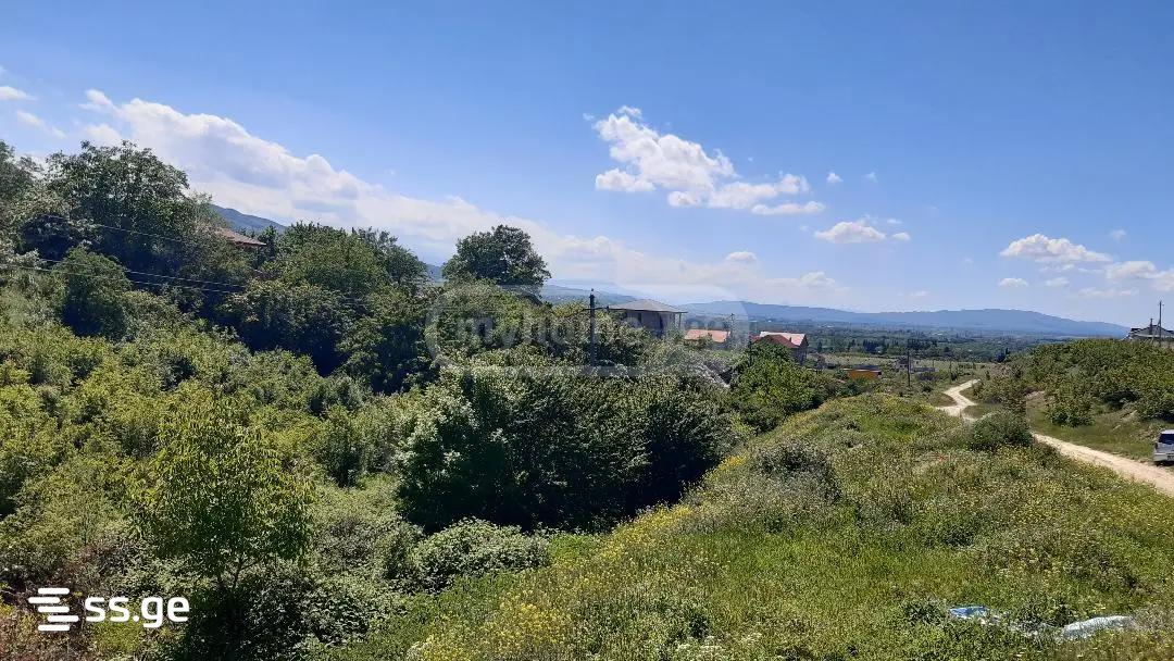 Продажа Земля в сагурамо view 7