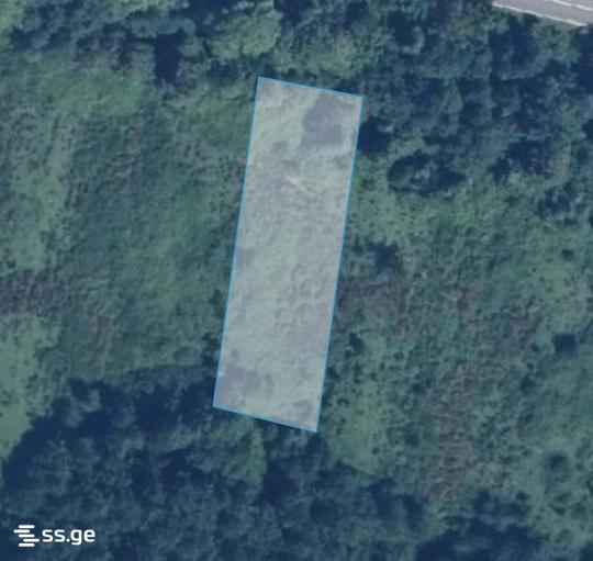 Land For Sale. Shekvetili view 1