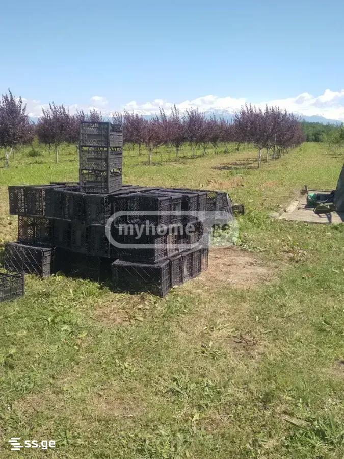 Land For Sale. Senaki view 15
