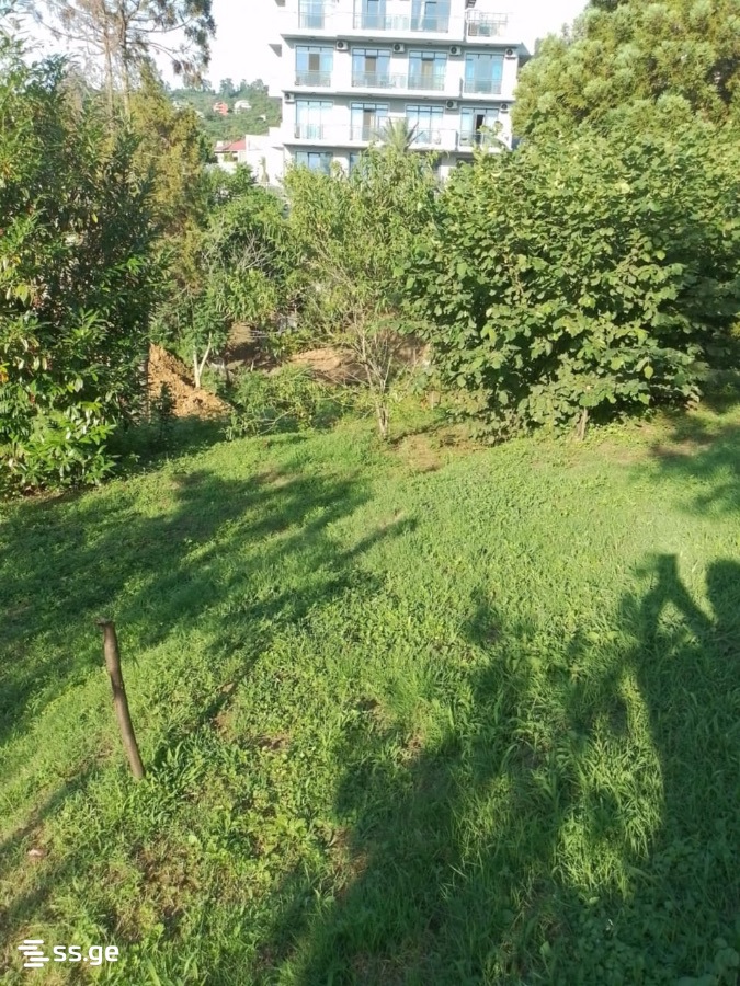 Land For Sale. Makhindjauri view 7