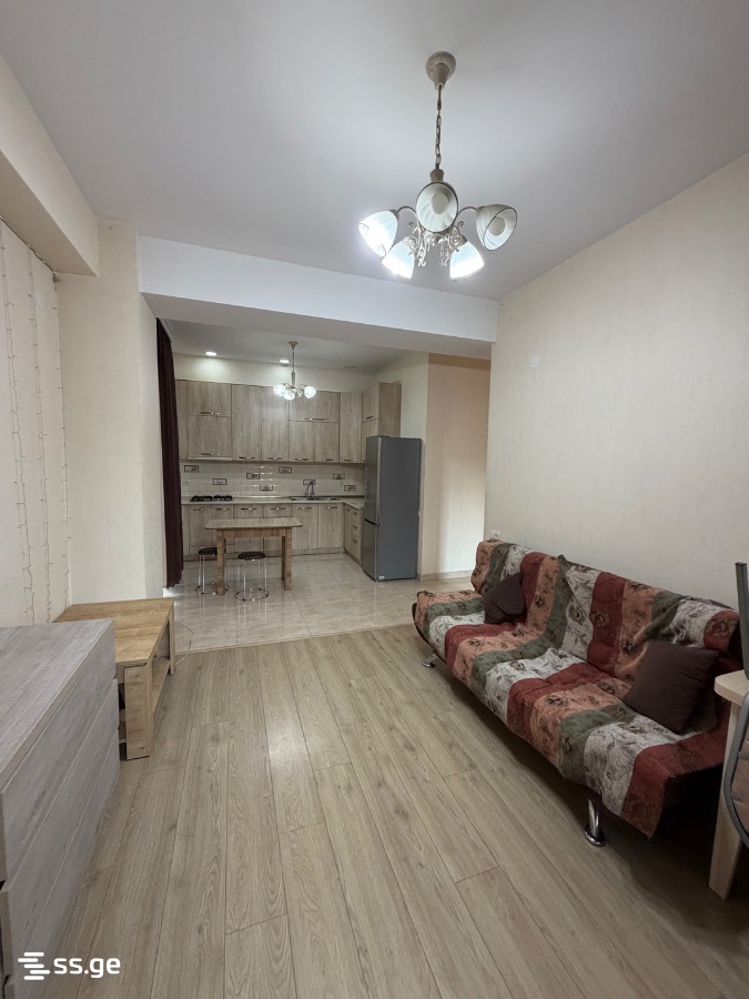 2 Room Flat For Rent. Varketili, 2 of 11