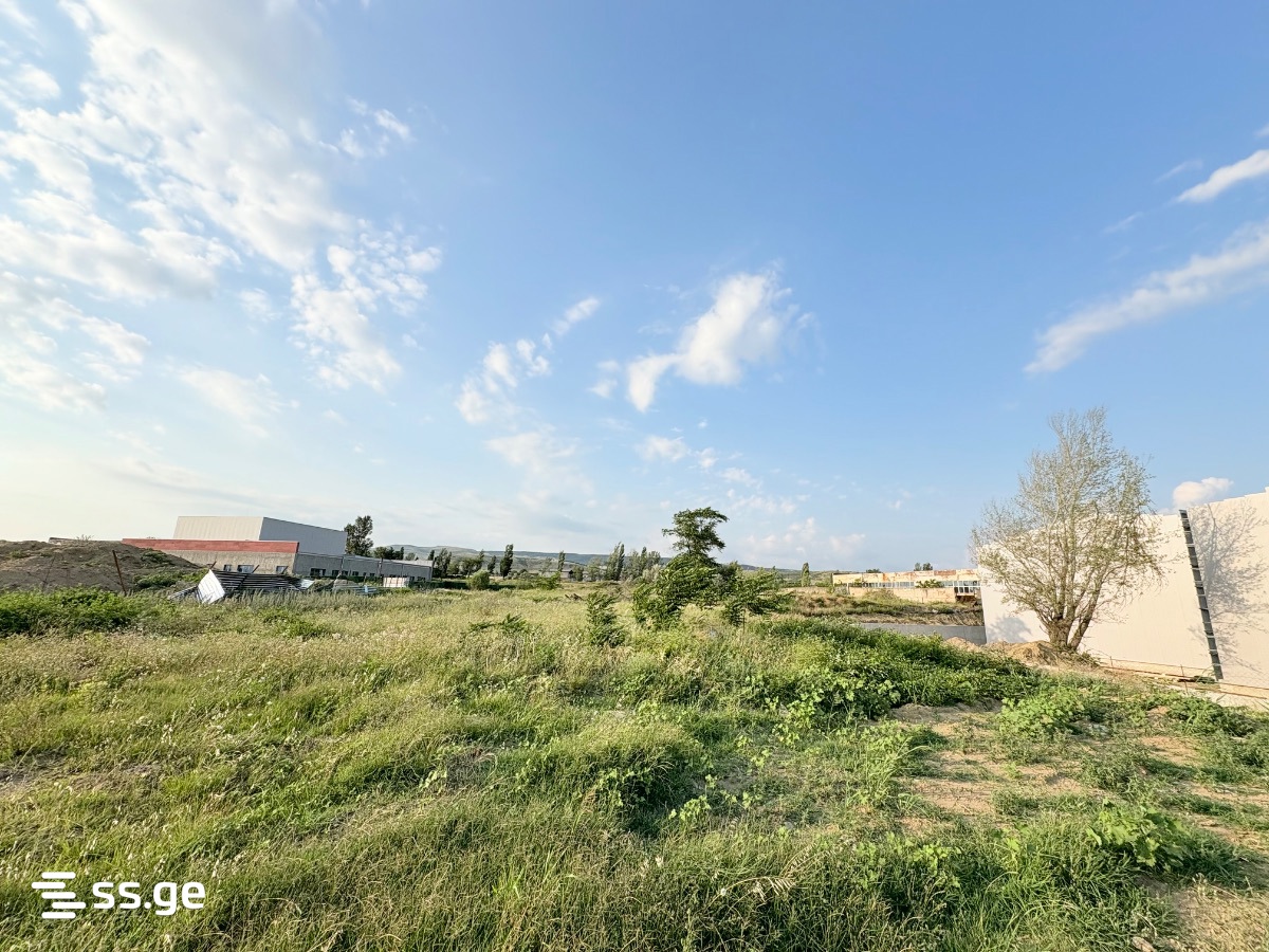 Land For Sale. Isani view 2