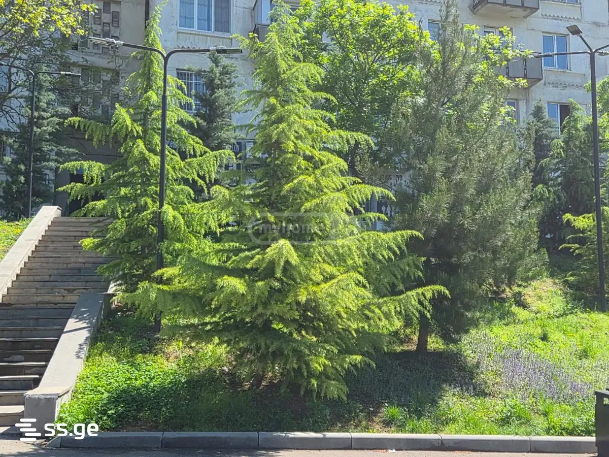Commercial Space For Sale. Varketili view 4