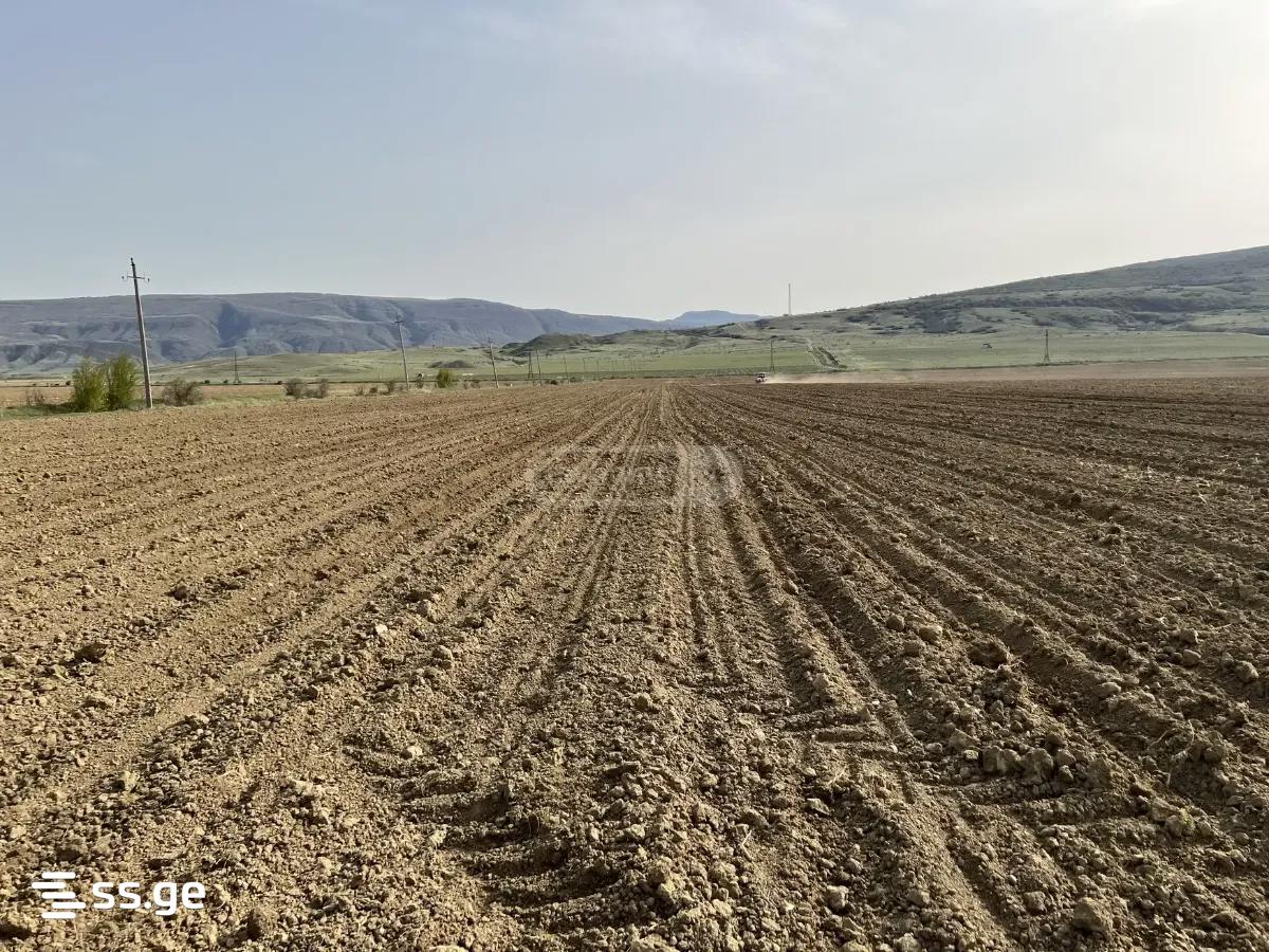 Land For Sale. Kaspi view 7