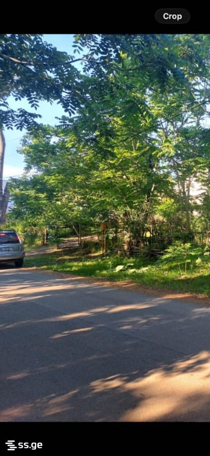 Land For Sale. Shekvetili view 2