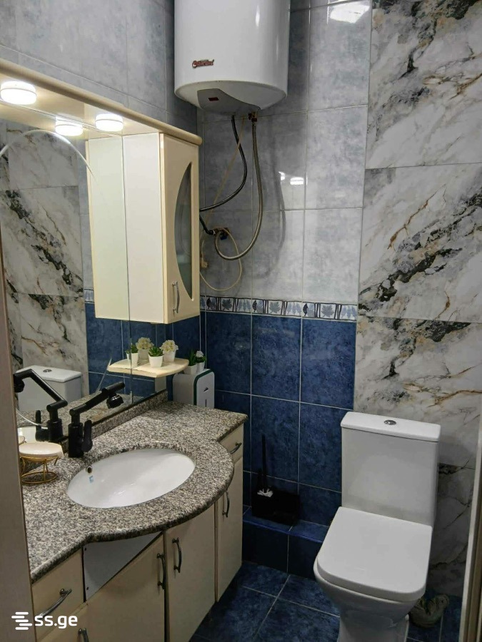 3 Room Flat Daily Rent. Batumi view 12