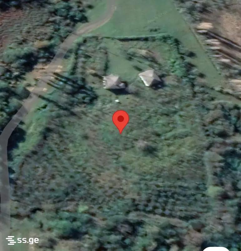 Land For Sale. Senaki view 8