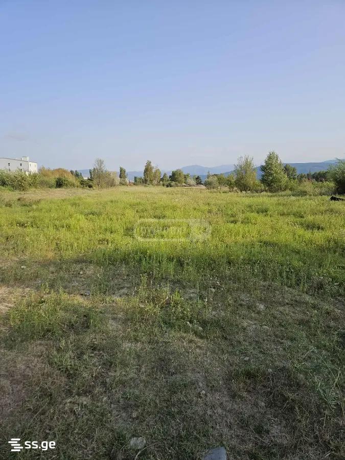 Land For Sale. Gori view 2