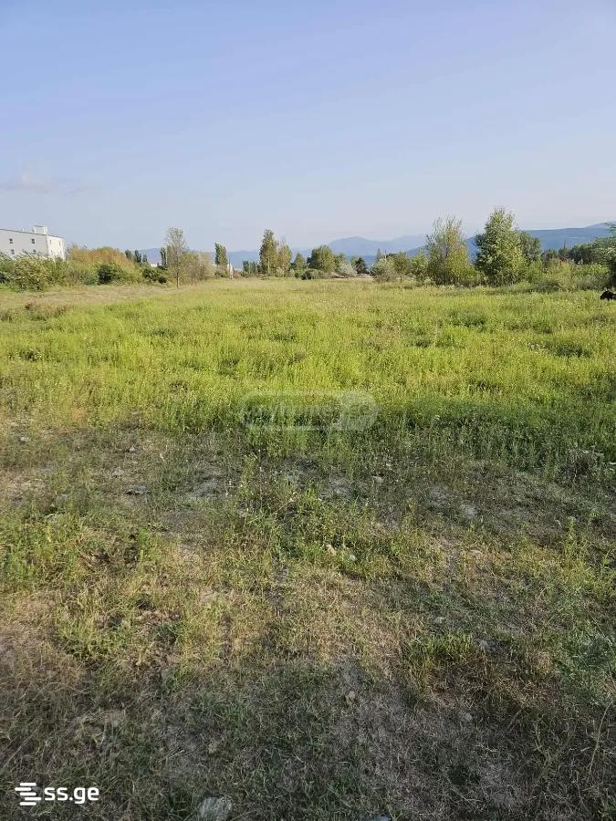 Land For Sale. Gori view 1
