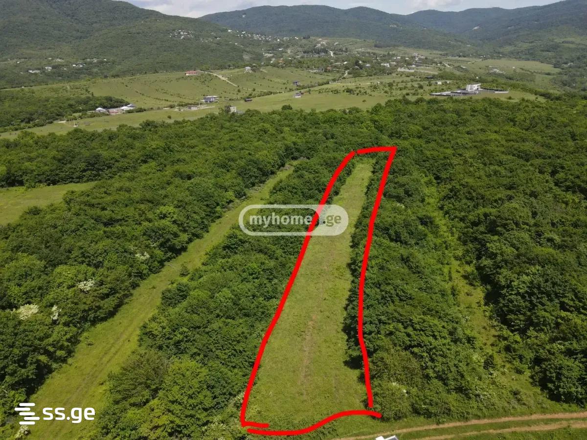 Land For Sale. Saguramo view 7