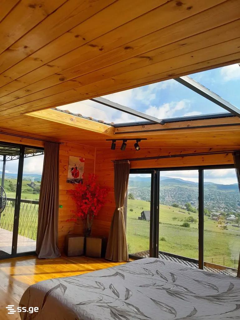2 Room Private House Daily Rent. Bazaleti view 1