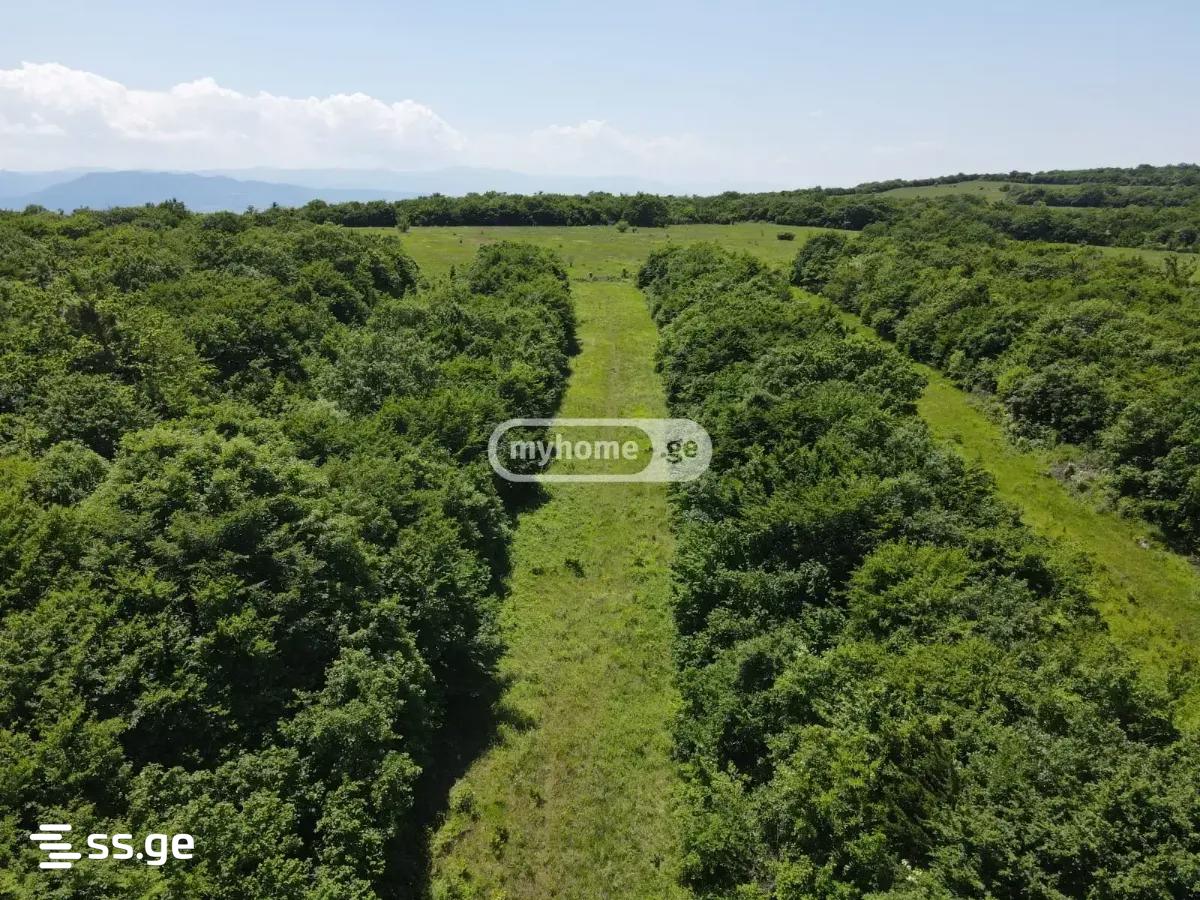 Land For Sale. Saguramo view 9