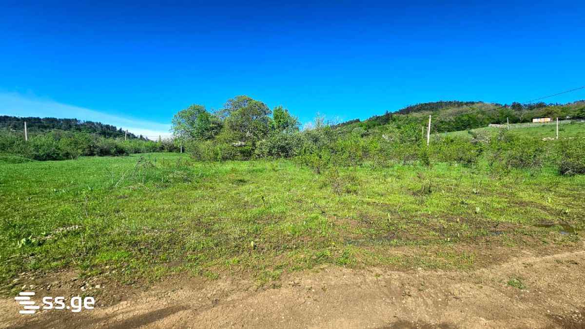 Продажа Agricultural Plot в In Orbeti, In Tetritskaro Municipality view 12